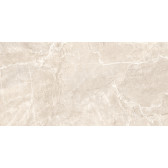 Terra Beige 120x60
