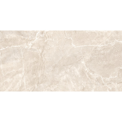 Terra Beige 120x60
