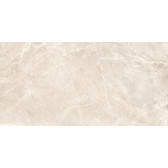 Terra Beige 120x60
