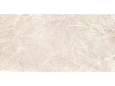 Terra Beige 120x60
