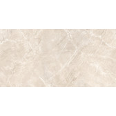 Terra Beige 120x60
