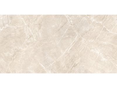Terra Beige 120x60
