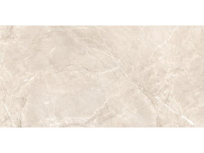 Terra Beige 120x60
