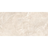 Terra Beige 120x60
