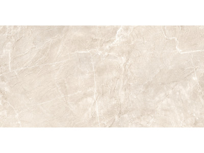 Terra Beige 120x60
