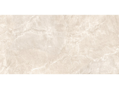 Terra Beige 120x60
