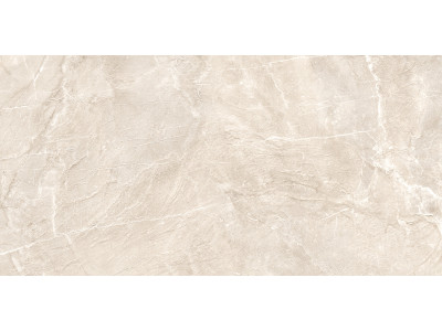 Terra Beige 120x60

