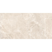 Terra Beige 120x60
