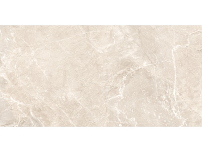 Terra Beige 120x60
