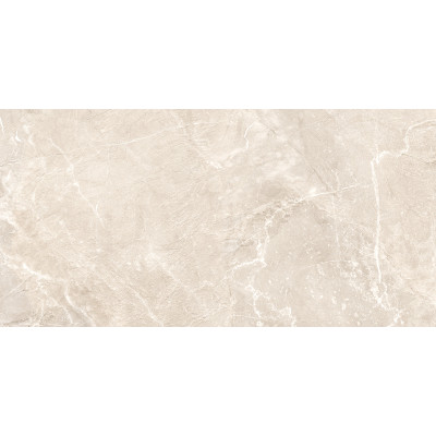 Terra Beige 120x60
