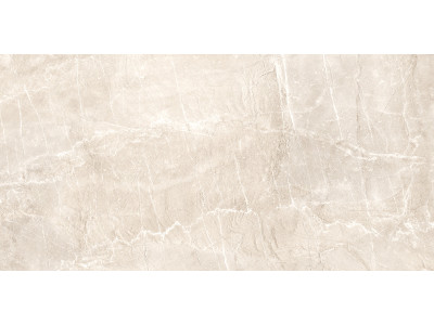 Terra Beige 120x60
