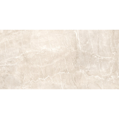 Terra Beige 120x60
