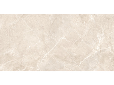 Terra Beige 120x60
