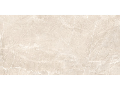 Terra Beige 120x60
