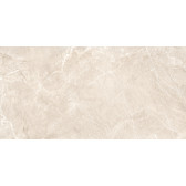 Terra Beige 120x60
