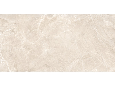 Terra Beige 120x60
