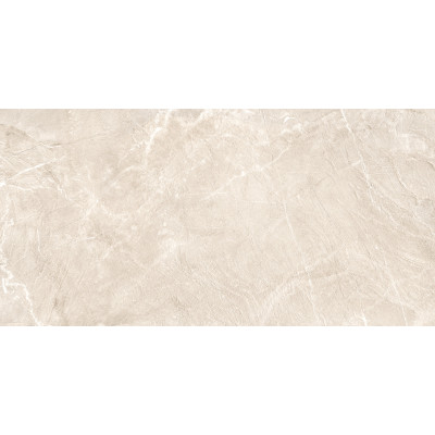 Terra Beige 120x60
