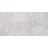 Terra Gray 120x60
