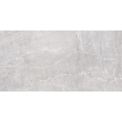 Terra Gray 120x60
