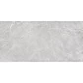 Terra Gray 120x60
