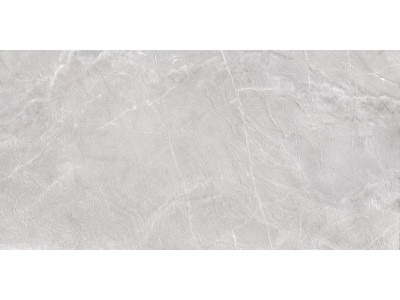 Terra Gray 120x60
