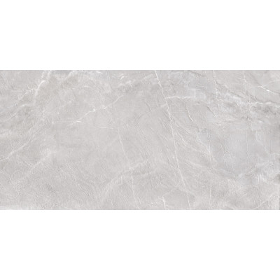 Terra Gray 120x60
