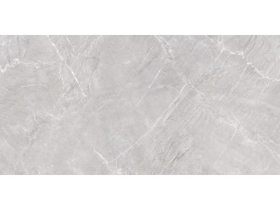 Terra Gray 120x60
