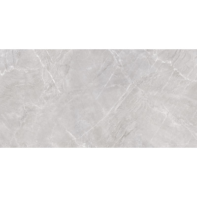 Terra Gray 120x60
