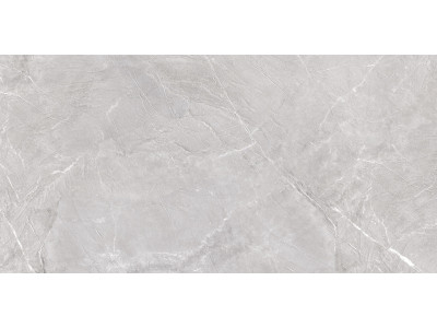 Terra Gray 120x60
