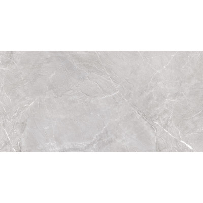 Terra Gray 120x60
