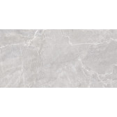 Terra Gray 120x60

