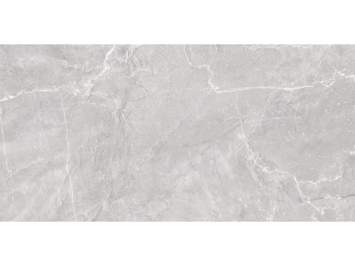 Terra Gray 120x60
