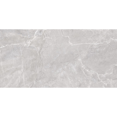 Terra Gray 120x60

