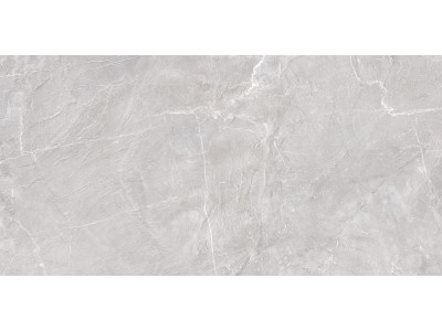 Terra Gray 120x60
