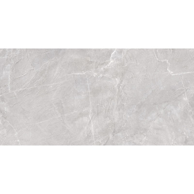 Terra Gray 120x60
