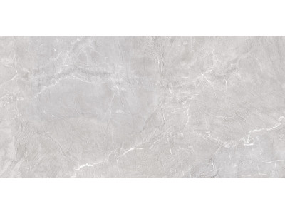 Terra Gray 120x60
