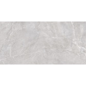 Terra Gray 120x60
