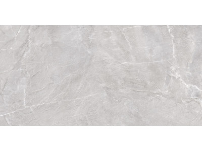 Terra Gray 120x60
