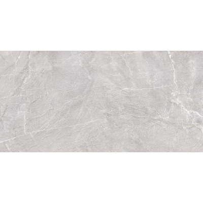 Terra Gray 120x60
