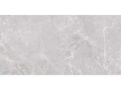 Terra Gray 120x60
