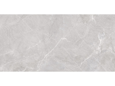 Terra Gray 120x60
