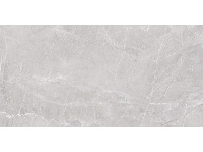 Terra Gray 120x60
