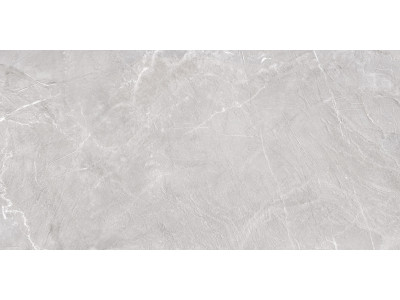 Terra Gray 120x60
