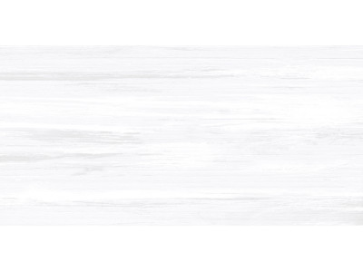 Vincenzo Grigio 50x24,9
